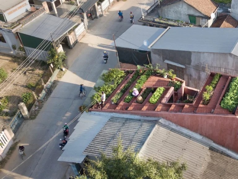 Удобная дача: для супружеской пары построили дом с садом на крыше, который обеспечивает их продуктами