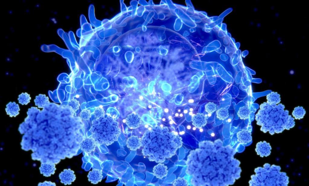 Очень странно и очень удивительно: антитела не могут быть ключом к победе над коронавирусом, полагают ученые