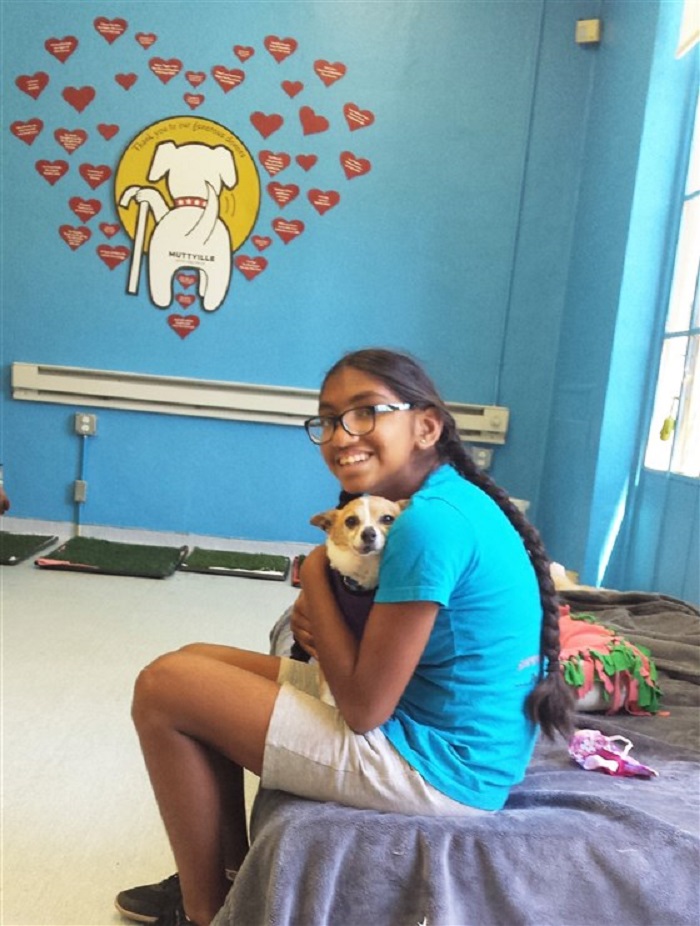 Девочка, от которой в детстве отказались родители, посвятила свою жизнь помощи собакам, лишенным своего дома