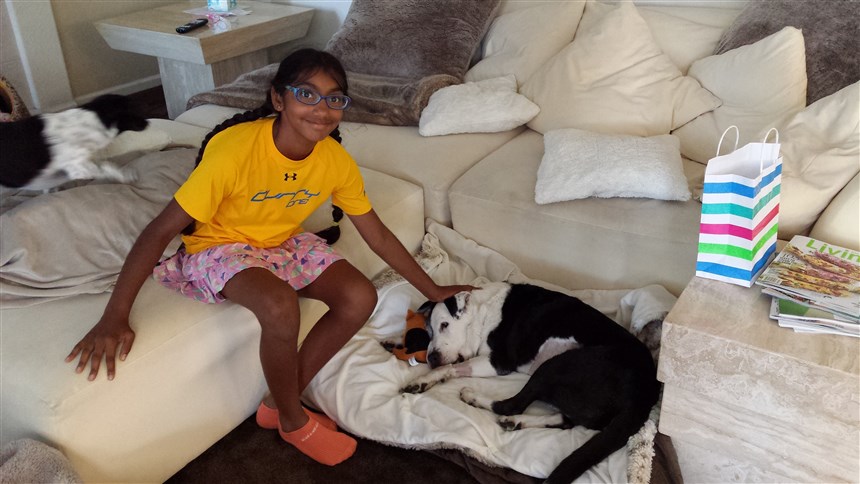 Девочка, от которой в детстве отказались родители, посвятила свою жизнь помощи собакам, лишенным своего дома