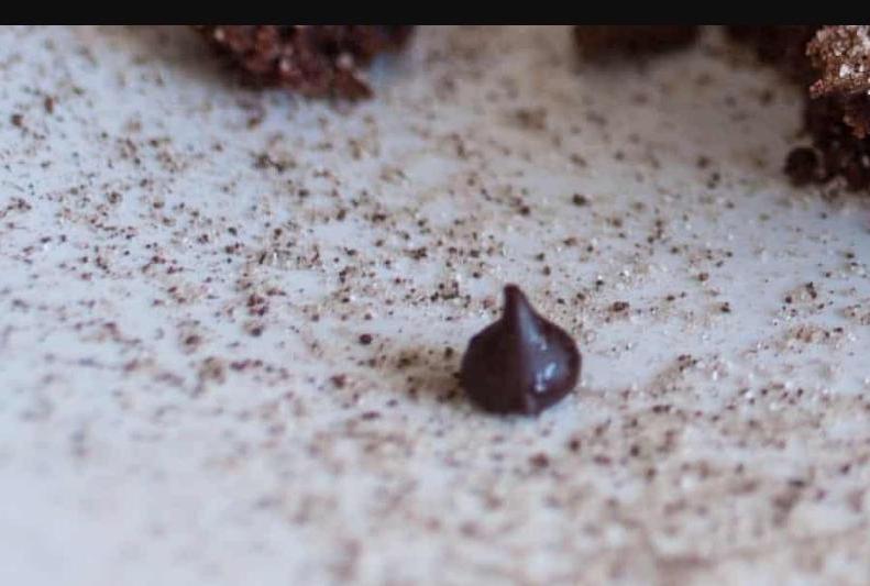 В швейцарском Ольтене прошел необычный дождь из какао-бобов: виновники пообещали помыть автомобили