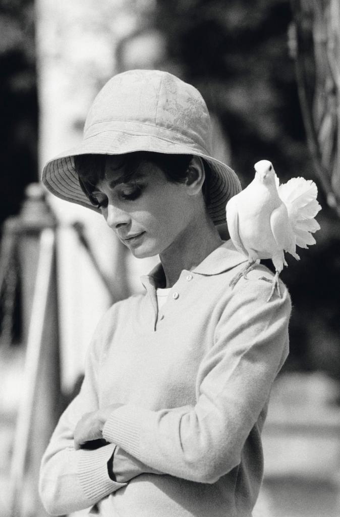 Синатра приближается, Хепберн купается: самые знаменитые образы фотохудожника Терри О'Нилла