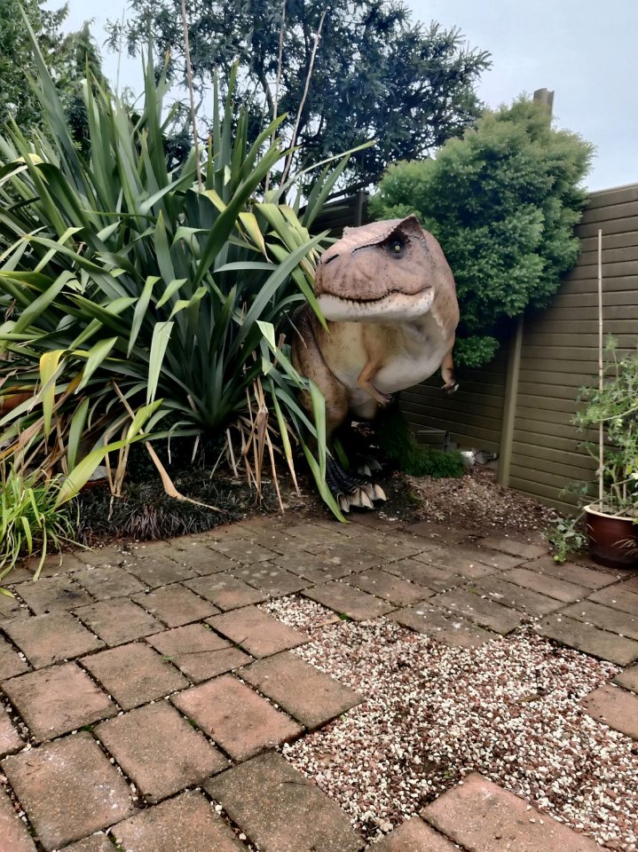 Женщина попросила мужа купить садового гнома, но супруг решил ее разыграть и купил динозавра (фото)