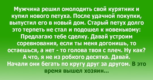 Мужчина решил омолодить свой курятник и купил нового петуха