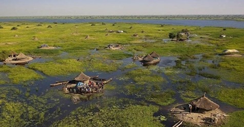 Как живут люди из африканского народа, дом которых в болоте  