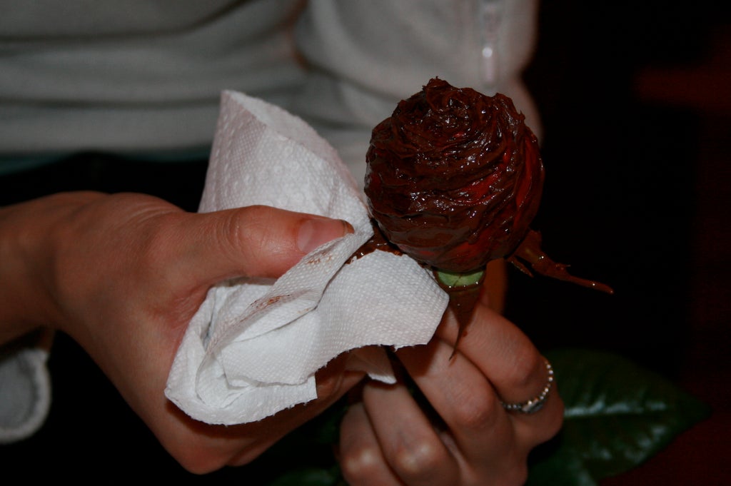 Розочки из шоколада. Шоколадные розы. Цветы из шоколада. Розы из шоколада. Шоколадные розы букет.