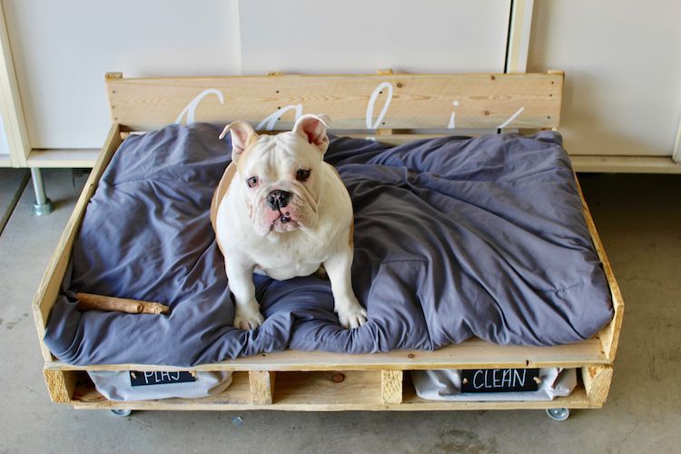 Из деревянного поддона я сама смастерила для собаки удобную передвижную кровать. Это намного проще, чем кажется, и питомец доволен