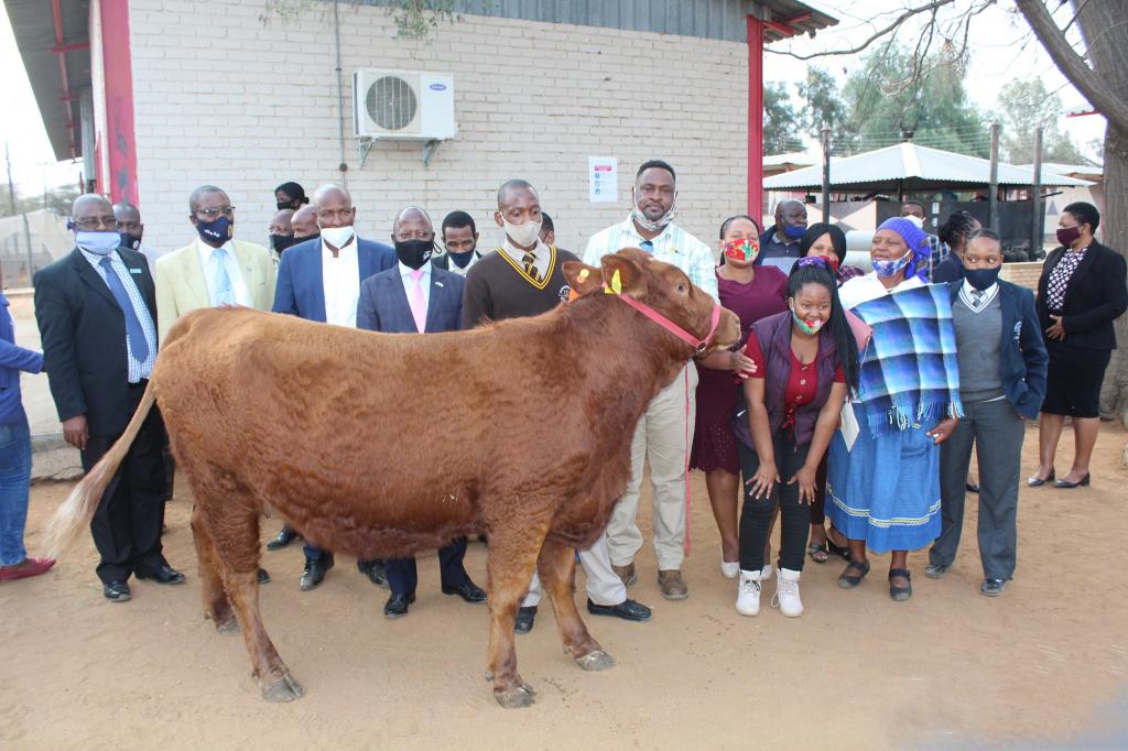Как поощрить за отличную учебу? В Ботсване выпускника средней школы наградили упитанной коровой за его достижения