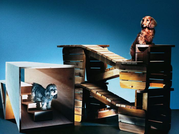 В Лондоне пройдет четвертая выставка мебели для собак: как выглядели ее экспонаты в прошлые годы (фото)