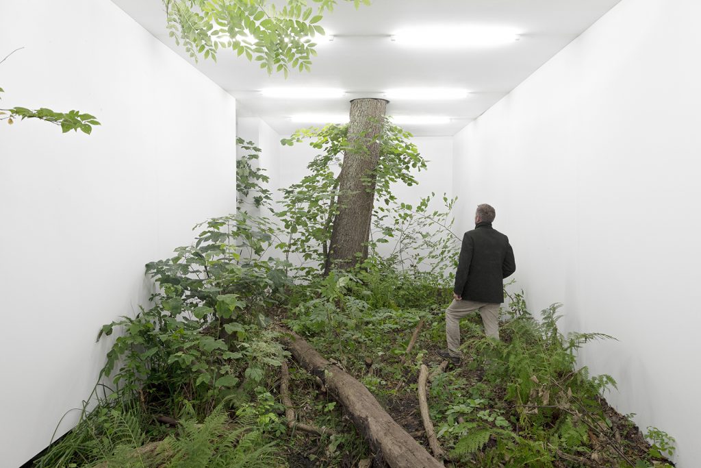 Дизайнер создал в лесу павильон-коридор с белыми стенами и растительностью внутри. Чтобы лучше познать природу, посетителей приводят к нему с завязанными глазами