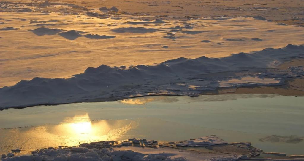 Спасти Арктический лед с помощью стекла: некоторые ученые предлагают все более смелые планы в борьбе с глобальным потеплением