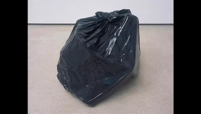На аукцион выставили на продажу мешок с мусором: как оказалось, это очень дорогое произведение современного искусства