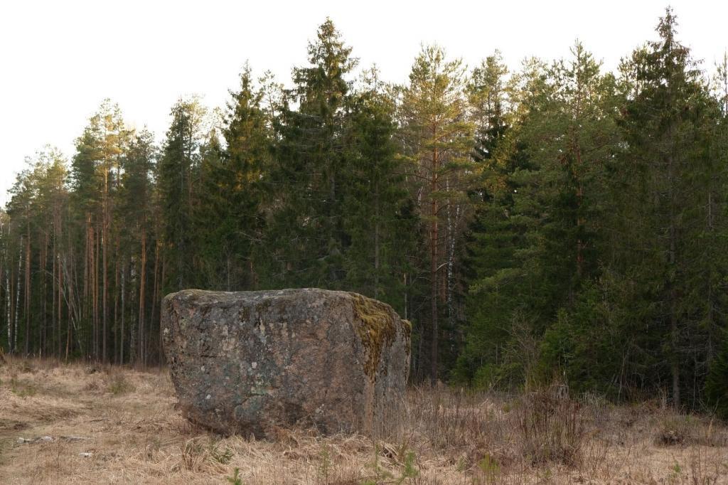 В Эстонии обычный камень объявили памятником природы: причина в его необычном прошлом