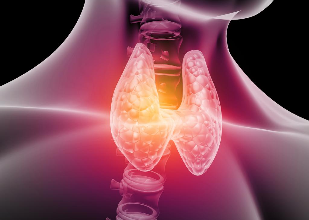 Щитовидная железа вырабатывает жизненно важные гормоны: любимые продукты, которые делают ее слабой