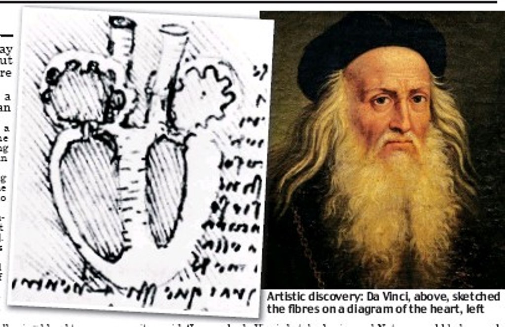 Сердце крупным планом: значение рисунка Леонардо да Винчи стало понятным спустя 500 лет