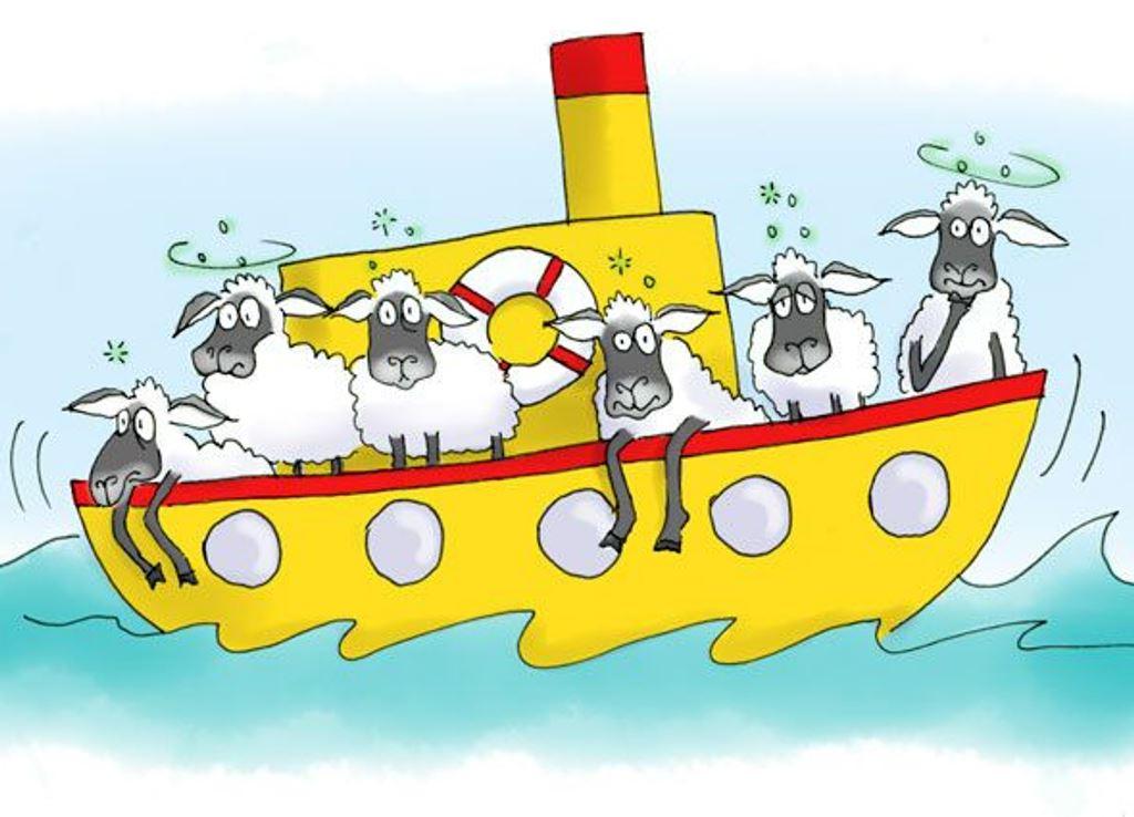 «На корабле 45 овец. 5 упали в воду. Сколько лет капитану?»: задачка для 2 класса во вьетнамской школе поставила в тупик не только детей, но и родителей