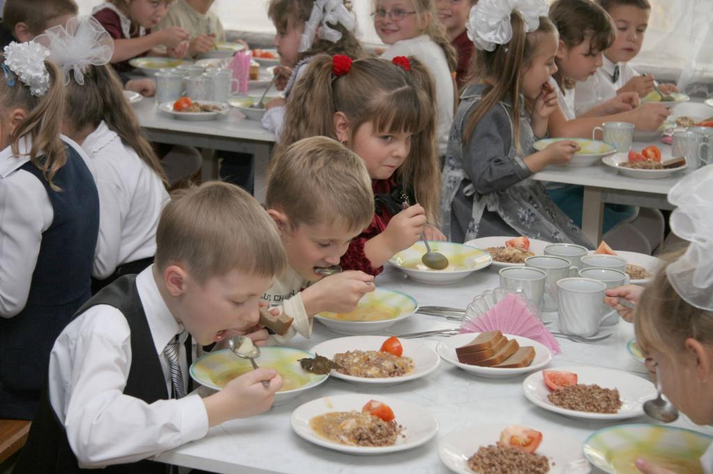 В целях обеспечения качественного питания: в России будут внепланово проверять школы и поставщиков продуктов в них