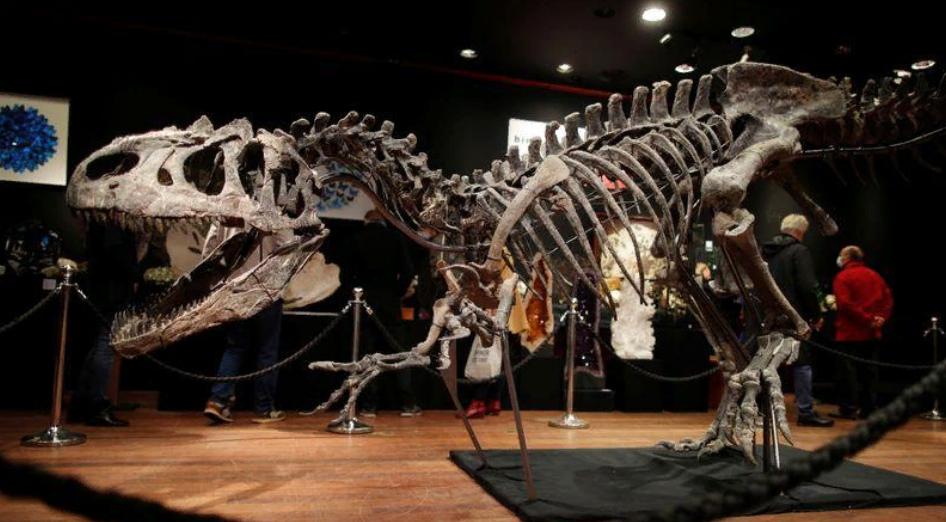 Почти полный скелет плотоядного динозавра, который бродил по земле около 150 миллионов лет назад, был продан на парижском аукционе за 3 миллиона евро