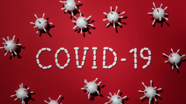 Ученые назвали три продукта, которые снижают риск заражения COVID 19 (тыквенные семечки в этом списке)