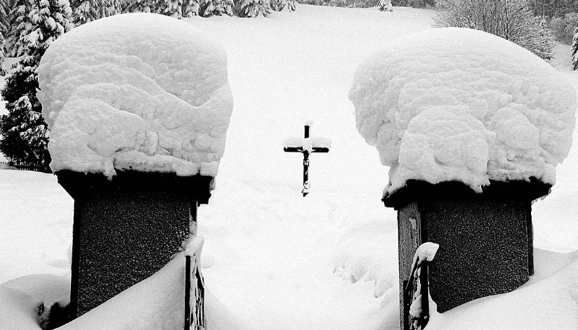 Почему на Покров (14 октября) не стоит ходить на кладбище: нельзя тревожить кладбищенского духа