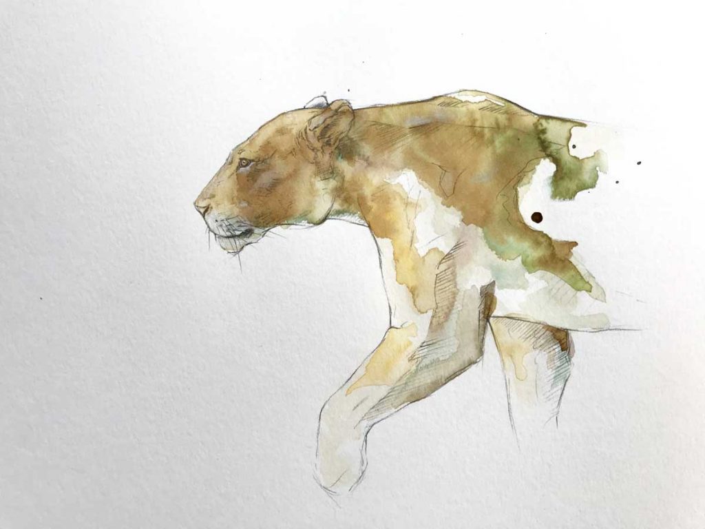 Нестандартно подошел к распространению информации об угрозе их исчезновения: художник Стивен Рью нарисовал животных отнюдь не красками