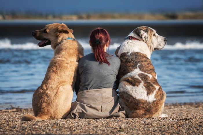 Ученые из Великобритании выяснили, что выбор породы собаки многое говорит о личности владельца