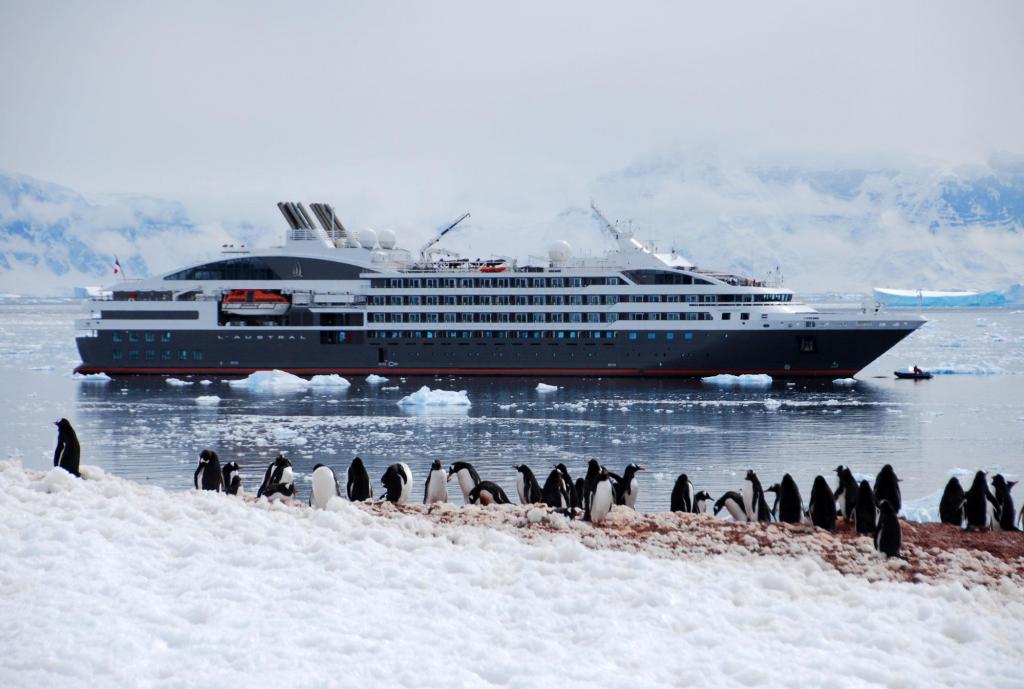 Антарктическое путешествие: известно расписание круизов в Арктику и Антарктиду на 2022 2023 годы