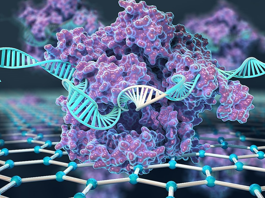 CRISPR Cas9 как инструмент генной инженерии может решить различные проблемы экологии: от парниковых газов до биотоплива