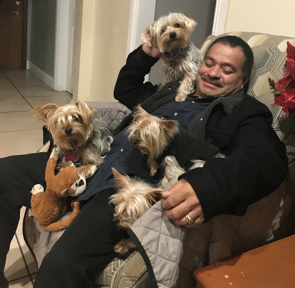 «Я не хочу, чтобы в нашем доме жила собака!»: фотографии строгих отцов, которые неожиданно для всех стали заботливыми хозяевами питомцев