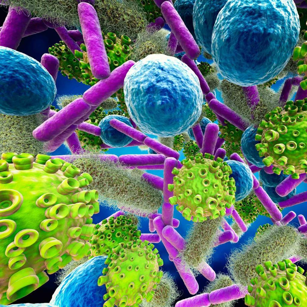 Новые типы материалов для создания поверхностей, убивающих или подавляющих микробов, смогут останавливать инфекции еще до того, как они попадут в организм