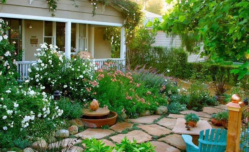 Терапевтический эффект от растений: 4 совета от садовода со стажем, подтвержденных исследованиями