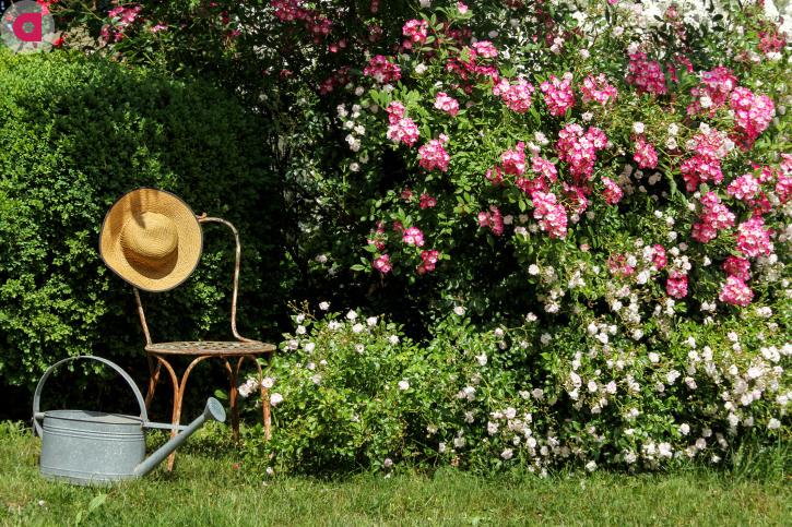 Терапевтический эффект от растений: 4 совета от садовода со стажем, подтвержденных исследованиями