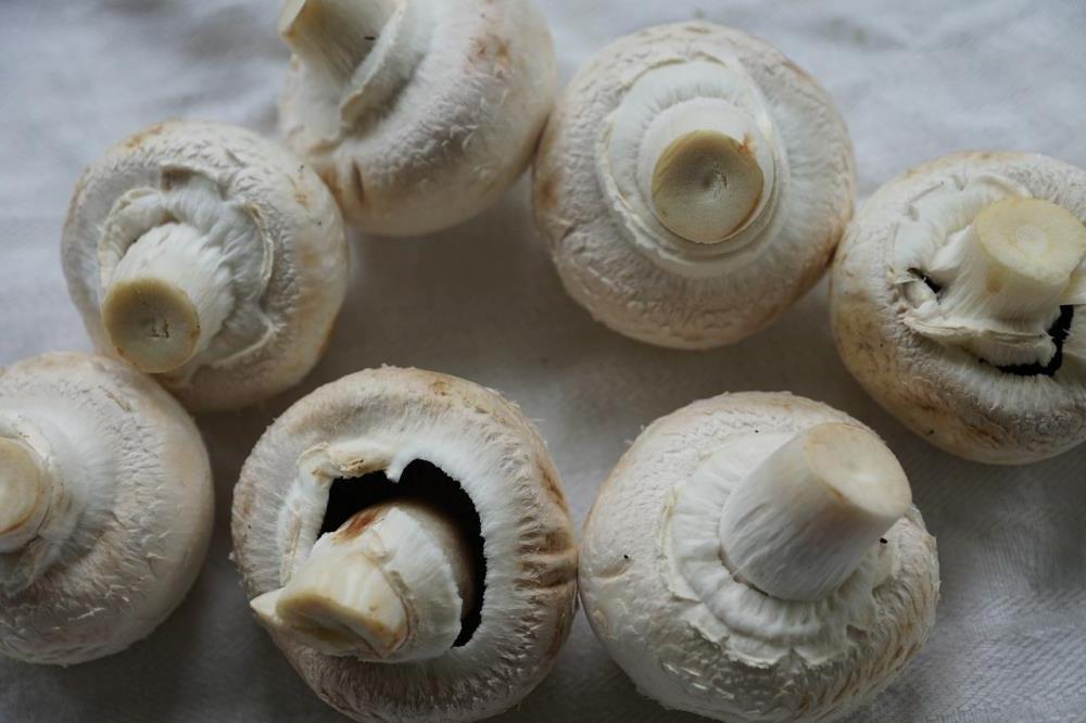 Отваривание и другие ошибки, из-за которых грибы становятся «резиновыми»