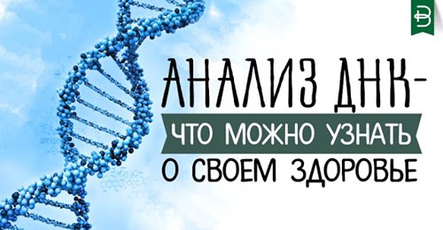 Анализ ДНК – что можно узнать о своем здоровье