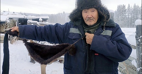 Британские журналисты удивились, что зимой в Сибири коровы носят «лифчики» 