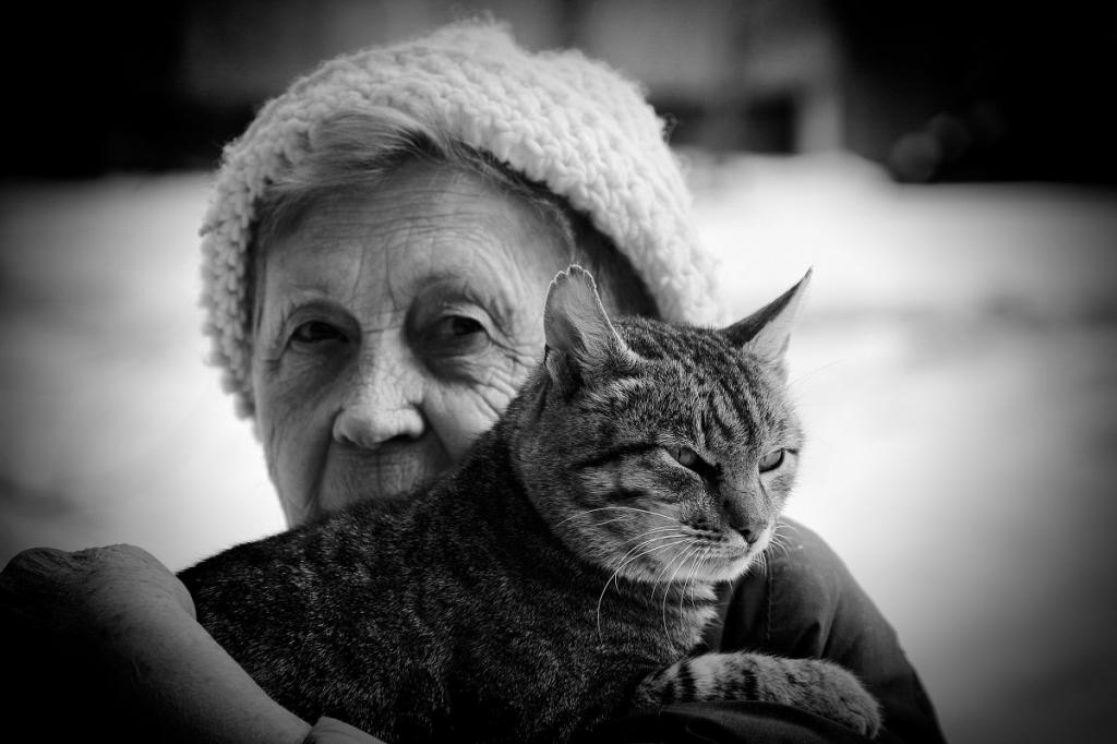 В чем стареющие кошки напоминают пожилых людей: 5 признаков питомца, возраст которого уже можно назвать почтенным