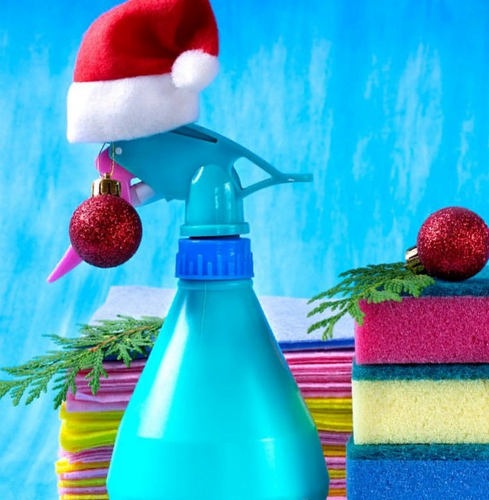 Эксперт по уборке Эгги Маккензи делится советами по празднованию Нового года в условиях пандемии: тканевые полотенца лучше заменить бумажным рулоном