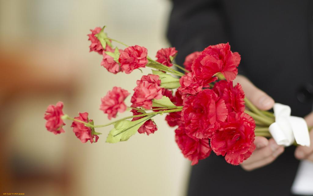 От тюльпанов до розы. Цветы, которые вам дарит мужчина, могут рассказать о его чувствах