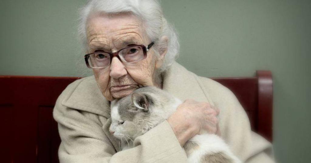 В чем стареющие кошки напоминают пожилых людей: 5 признаков питомца, возраст которого уже можно назвать почтенным