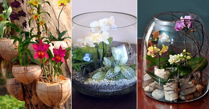 Творим дома: композиция из орхидей — более 10 волшебных идей