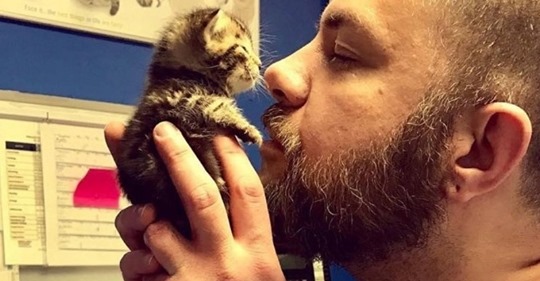 Бородатый ветеринар был добр к осиротевшим котятам, и они решили, что он – их мамочка!