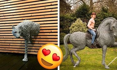 Британская художница делает из проволоки скульптуры животных, которые даже способны выдержать на себе вес человека!