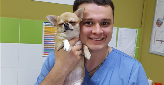 Ветеринар из Челябинска спасал животных, которых приносили на эвтаназию. Зоозащитница пожаловалась на него в прокуратуру