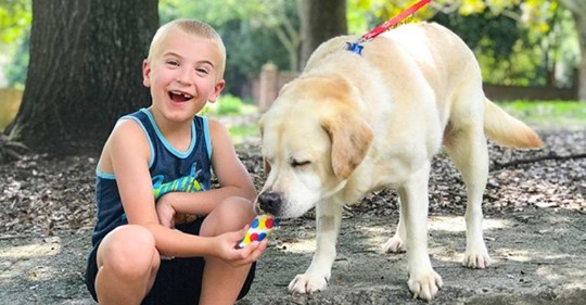 Роману семь лет, и он уже спас больше тысячи собак