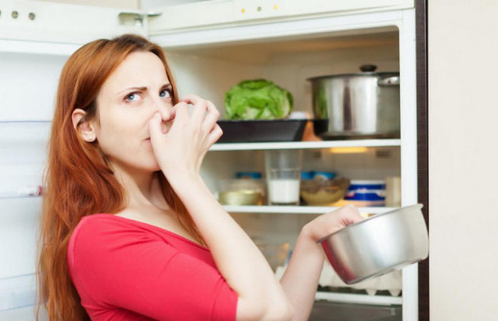 Как сделать домашние таблетки для холодильника: они легко удаляют запахи