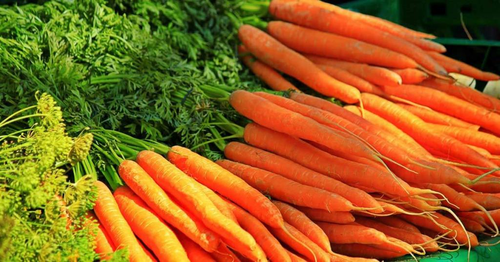 Защита сердца и укрепление волос: в Роспотребнадзоре рассказали о пользе моркови