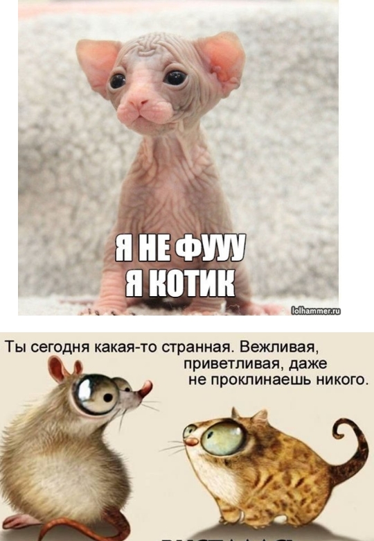 Фу бля картинки