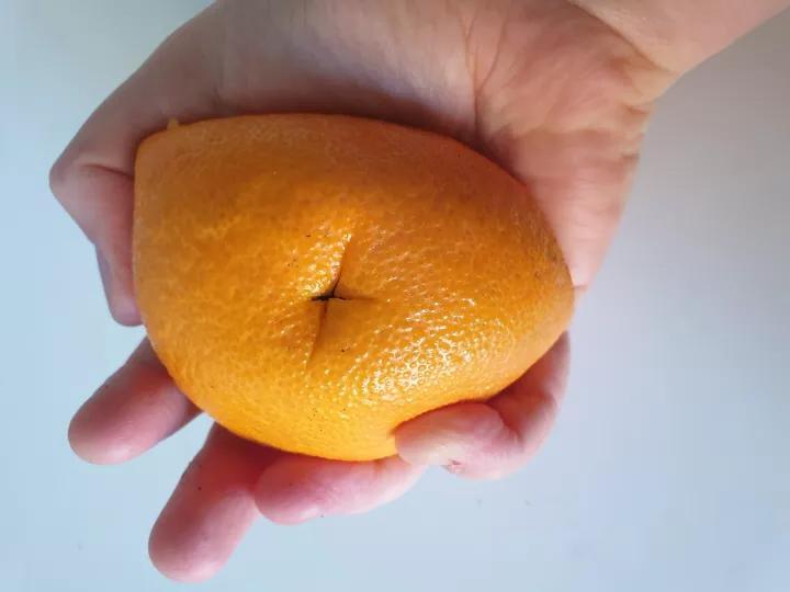 Выращиваем рассаду в апельсине: необычный способ посева семян