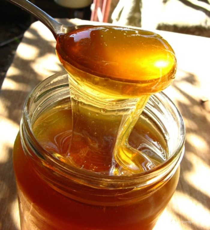 Как отличить натуральный мед от искусственного: простые трюки с уксусом и йодом
