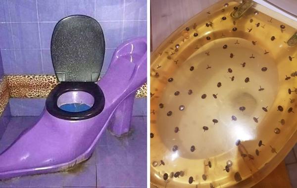 18 странных туалетов, которые вызывают только смех и отвращение, вместо желания ими воспользоваться